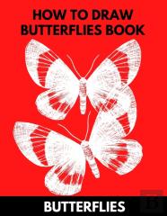 How To Draw Butterflies Book