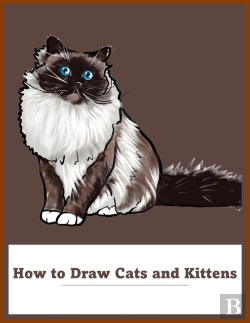 Bertrand.pt - How To Draw Cats And Kittens