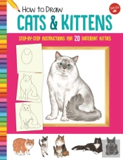 How To Draw Cats & Kittens