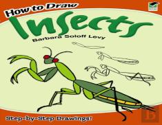 How To Draw Insects