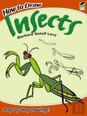 How To Draw Insects