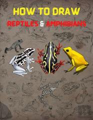 How To Draw Reptiles & Amphibians