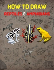How To Draw Reptiles & Amphibians