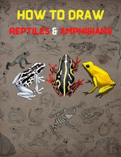 Bertrand.pt - How To Draw Reptiles & Amphibians