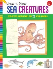 How To Draw Sea Creatures