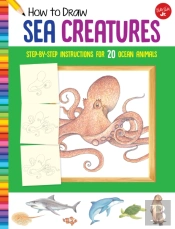 How To Draw Sea Creatures