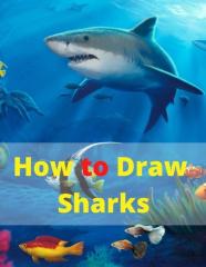 How To Draw Sharks