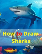 How To Draw Sharks