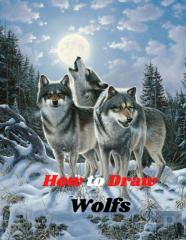 How To Draw Wolfs
