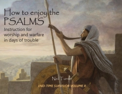 Bertrand.pt - How To Enjoy The Psalms