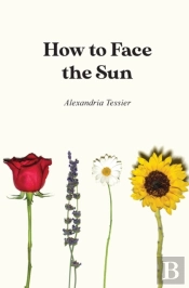 How To Face The Sun