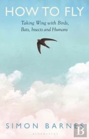 How To Fly