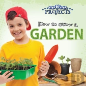 How To Grow A Garden