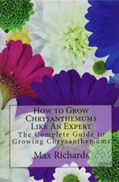 How To Grow Chrysanthemums Like An Expert