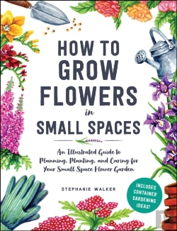 Bertrand.pt - How To Grow Flowers In Small Spaces