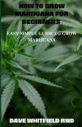 How To Grow Marijuana For Beginners