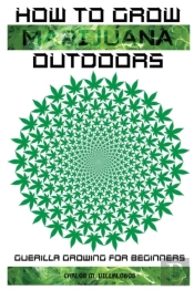 How To Grow Marijuana Outdoors