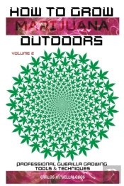 How To Grow Marijuana Outdoors