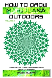 How To Grow Marijuana Outdoors