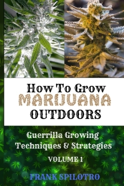 Bertrand.pt - How To Grow Marijuana Outdoors