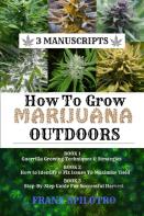 How To Grow Marijuana Outdoors