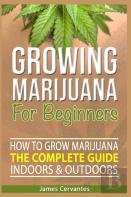 How To Grow Marijuana The Complete Guide, Indoors And Outdoors - Growing Marijuana For Beginners
