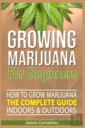 How To Grow Marijuana The Complete Guide, Indoors And Outdoors - Growing Marijuana For Beginners