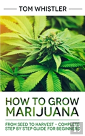 How To Grow Marijuana