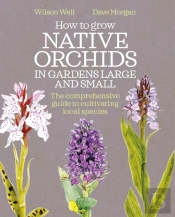 How To Grow Native Orchids In Gardens Large And Small