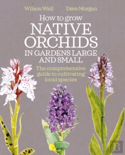 Bertrand.pt - How To Grow Native Orchids In Gardens Large And Small