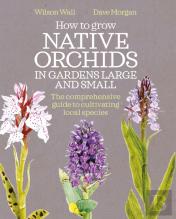 How To Grow Native Orchids In Gardens Large And Small