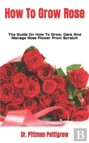 How To Grow Rose