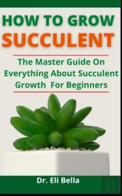 How To Grow Succulent