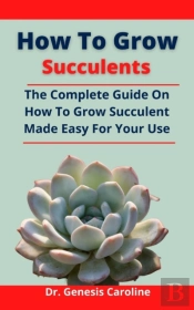How To Grow Succulents