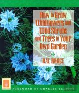 How To Grow Wildflowers And Wi