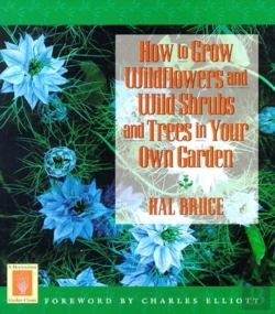 Bertrand.pt - How To Grow Wildflowers And Wi