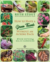 How To Have A Green Thumb Without An Aching Back