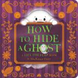 How To Hide A Ghost