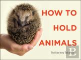How To Hold Animals