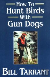How To Hunt Birds With Gun Dogs