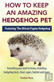 How To Keep An Amazing Hedgehog Pet