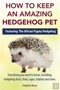 Bertrand.pt - How To Keep An Amazing Hedgehog Pet