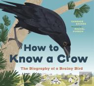 How To Know A Crow