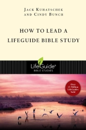 How To Lead A Lifeguide, Bible Study