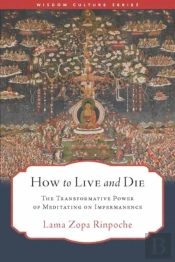 How To Live And Die