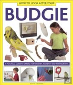 Bertrand.pt - How To Look After Your Budgie
