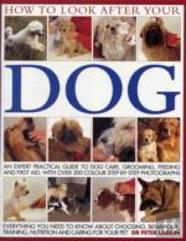 How To Look After Your Dog