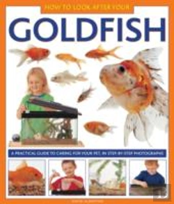 Bertrand.pt - How To Look After Your Goldfish