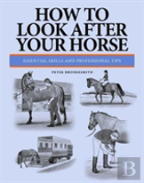 How To Look After Your Horse
