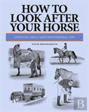 How To Look After Your Horse